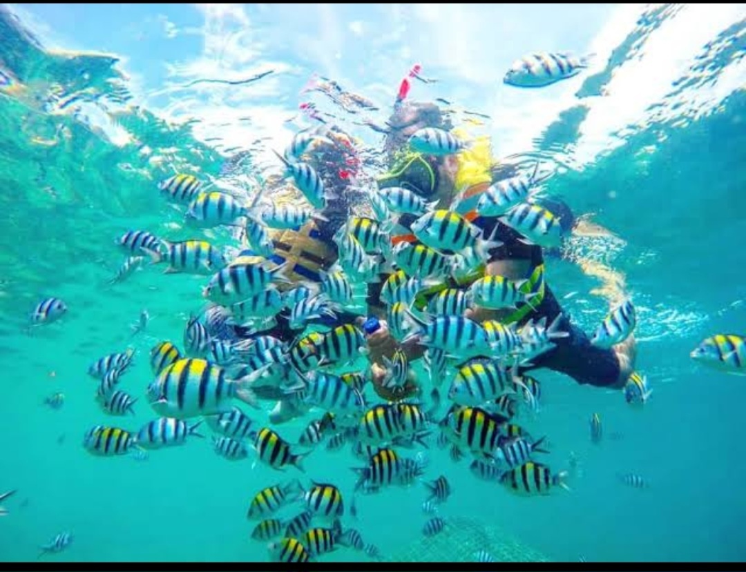 Blue Lagoon Snorkeling & East Coast — photo 2