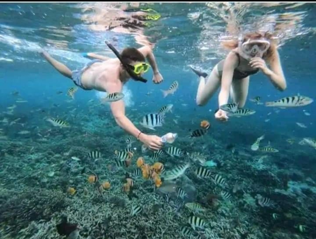 Blue Lagoon Snorkeling & East Coast — photo 4