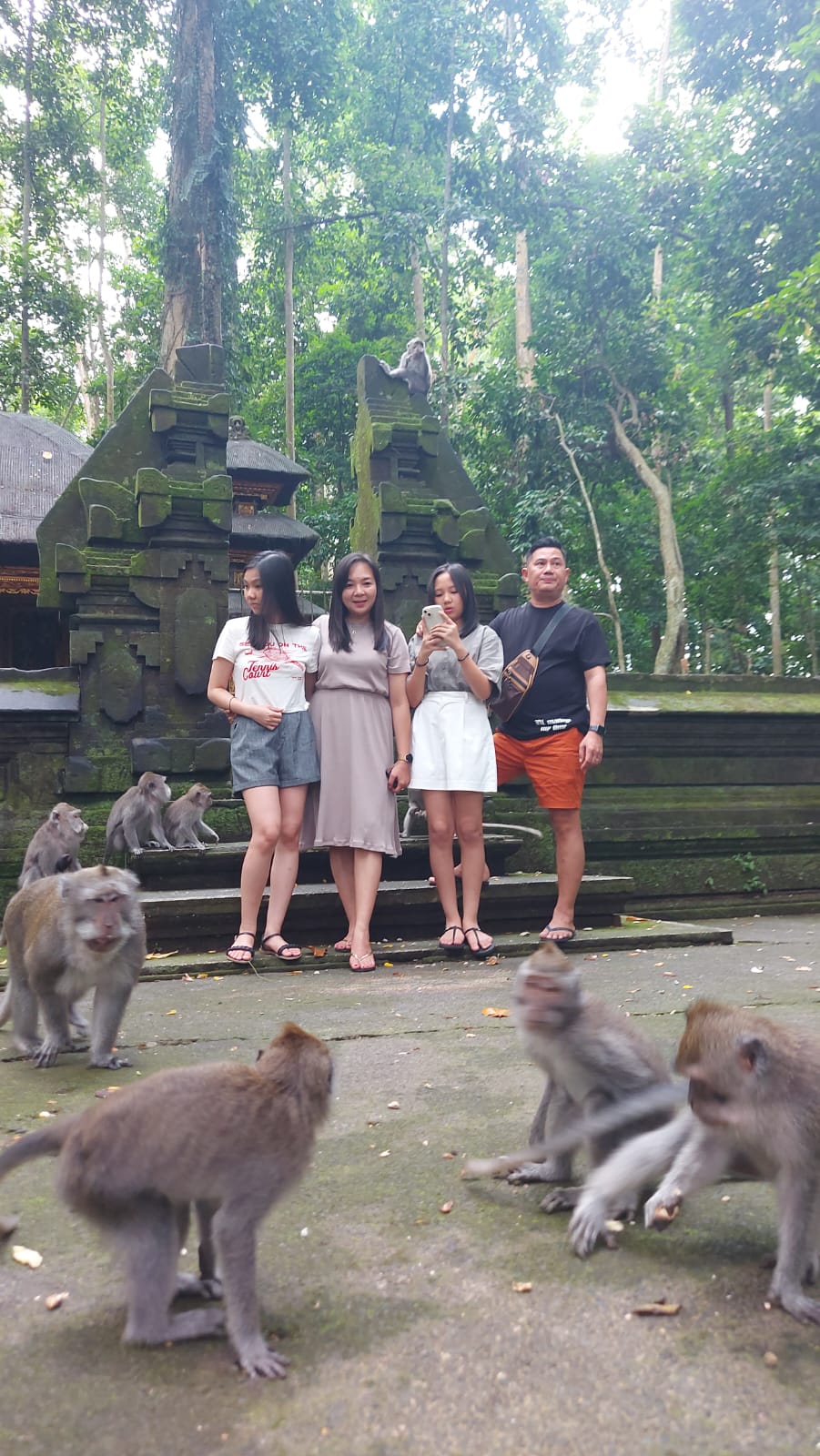 Ubud Cultural Highlights — guests enjoying the tour experience